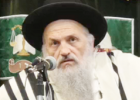 הרב חיים פיינשטיין